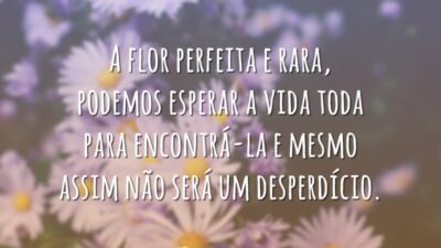 A flor perfeita e rara, podemos esperar a vida toda para encontrá-la e mesmo assim não será um desperdício.