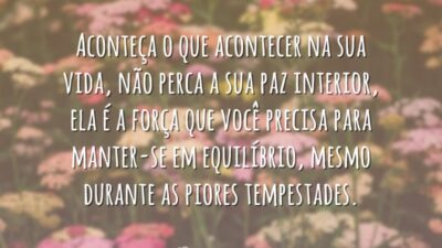 Aconteça o que acontecer na sua vida, não perca a sua paz interior, ela é a força que você precisa para manter-se em equilíbrio, mesmo durante as piores tempestades.