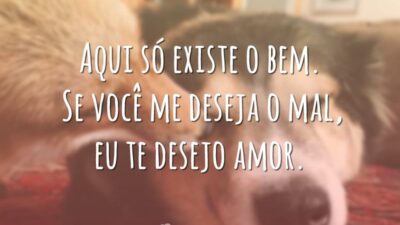 Aqui só existe o bem. Se você me deseja o mal, eu te desejo amor.