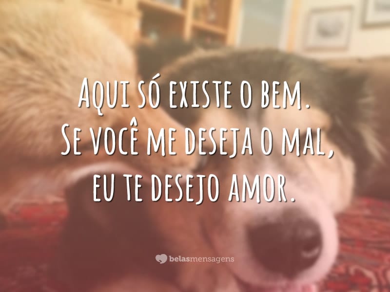 Aqui só existe o bem. Se você me deseja o mal, eu te desejo amor.