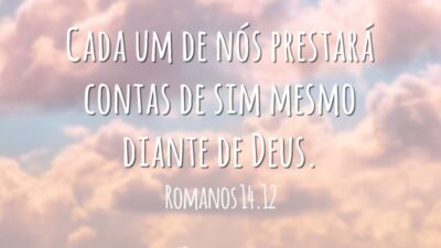 Cada um de nós prestara contas de sim mesmo diante de Deus.