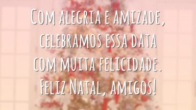 Com alegria e amizade, celebramos essa data com muita felicidade. Feliz Natal, amigos!