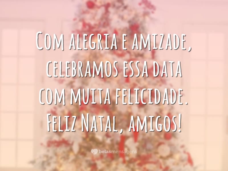 Com alegria e amizade, celebramos essa data com muita felicidade. Feliz Natal, amigos!