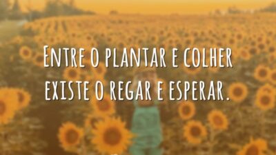Entre o plantar e colher existe o regar e esperar.