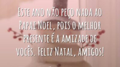 Este ano não peço nada ao Papai Noel, pois o melhor presente é a amizade de vocês. Feliz Natal, amigos!