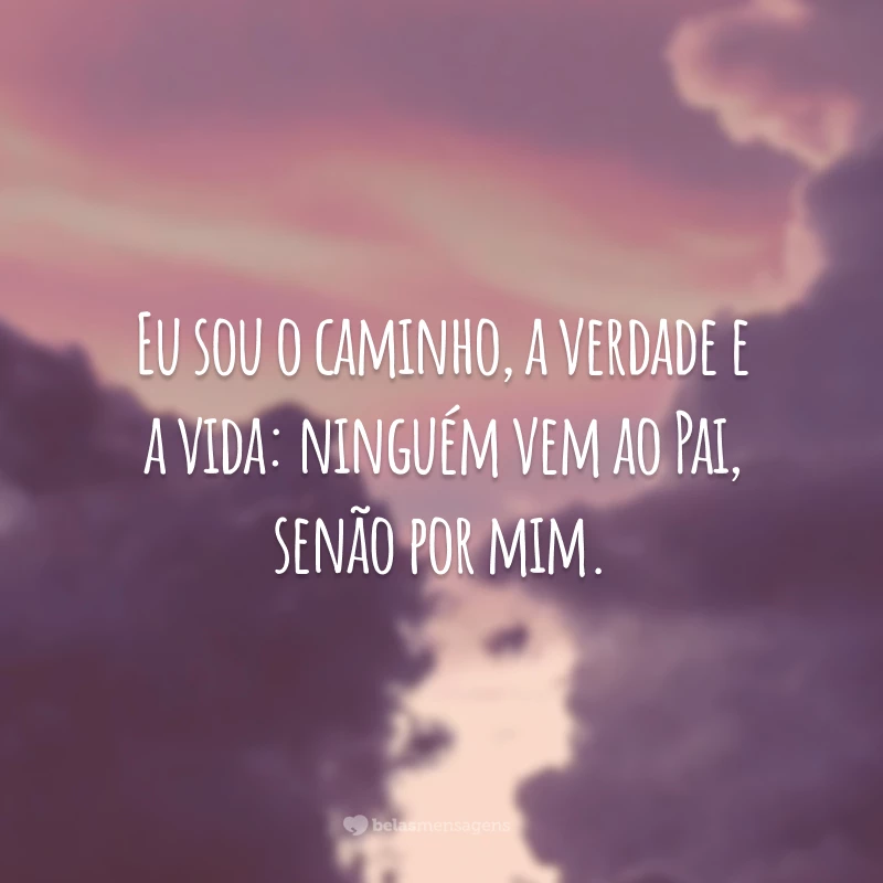 Eu sou o caminho, a verdade e a vida: ninguém vem ao Pai, senão por mim.