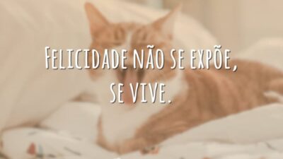 Felicidade não se expõe, se vive.