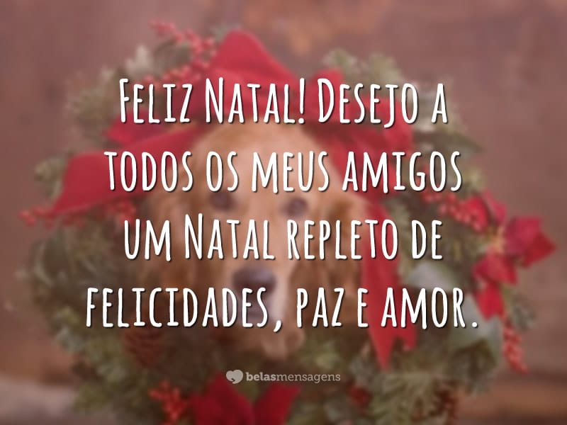 Feliz Natal! Desejo a todos os meus amigos um Natal repleto de felicidades, paz e amor.