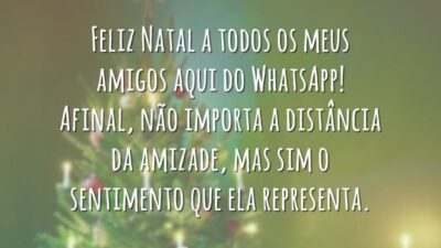 Feliz Natal a todos os meus amigos aqui do WhatsApp! Afinal, não importa a distância da amizade, mas sim o sentimento que ela representa.