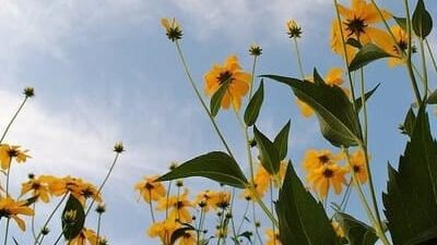 42 frases de equilíbrio para acalmar a mente e o coração