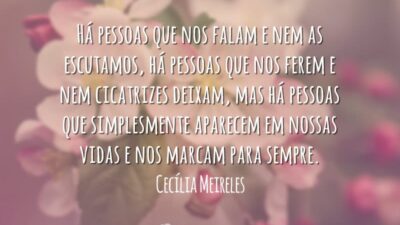 Há pessoas que nos falam e nem as escutamos, há pessoas que nos ferem e nem cicatrizes deixam, mas há pessoas que simplesmente aparecem em nossas vidas e nos marcam para sempre.