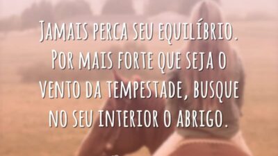 Jamais perca seu equilíbrio. Por mais forte que seja o vento da tempestade, busque no seu interior o abrigo.