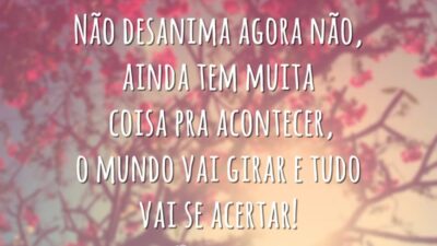 Não desanima agora não