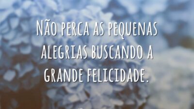 Não perca as pequenas alegrias buscando a grande felicidade.