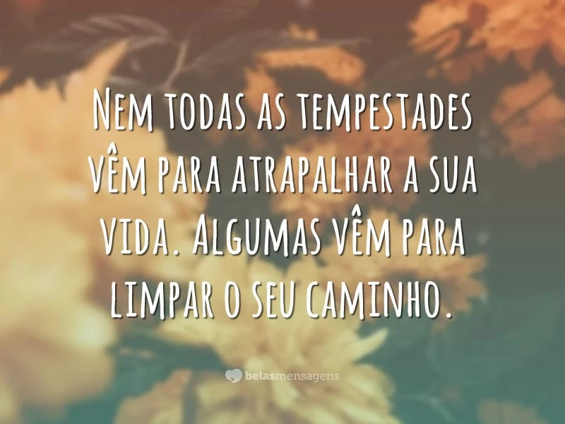 Nem todas as tempestades vêm para atrapalhar a sua vida. Algumas vêm para limpar o seu caminho.