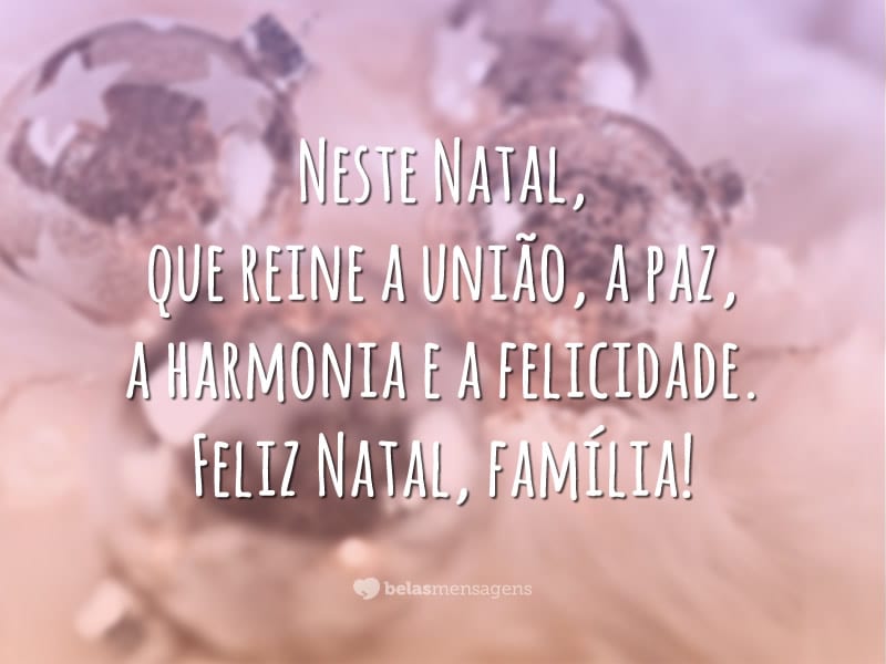 Neste Natal, que reine a união, a paz, a harmonia e a felicidade. Feliz Natal, família!