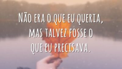 Não era o que eu queria, mas talvez fosse o que eu precisava.