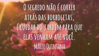 O segredo não é correr atrás das borboletas, é cuidar do jardim para que elas venham até você.