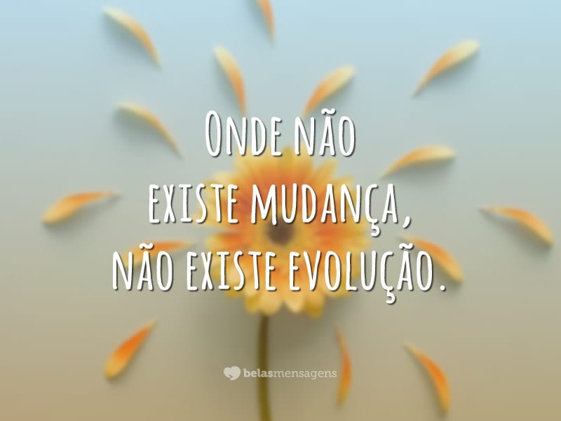 Onde não existe mudança, não existe evolução.