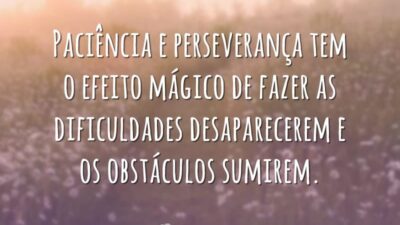 Paciência e perseverança tem o efeito mágico de fazer as dificuldades desaparecerem e os obstáculos sumirem.