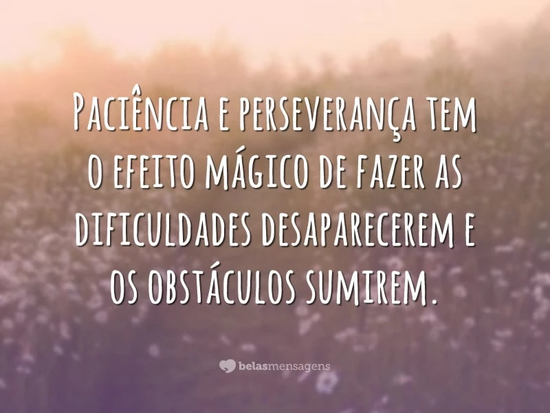 Paciência e perseverança tem o efeito mágico de fazer as dificuldades desaparecerem e os obstáculos sumirem.