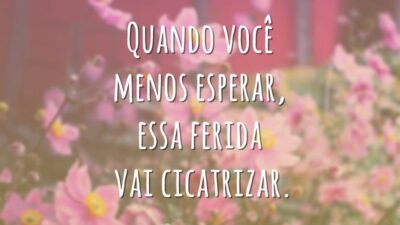 Vai cicatrizar
