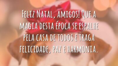 Feliz Natal, amigos! Que a magia desta época se espalhe pela casa de todos e traga felicidade, paz e harmonia.