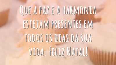 Que a paz e a harmonia estejam presentes em todos os dias da sua vida. Feliz Natal!