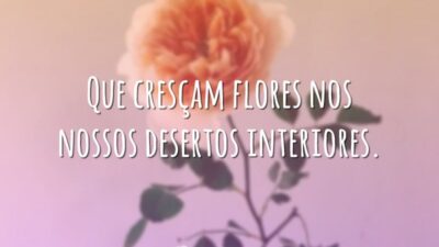 Que cresçam flores nos nossos desertos interiores.