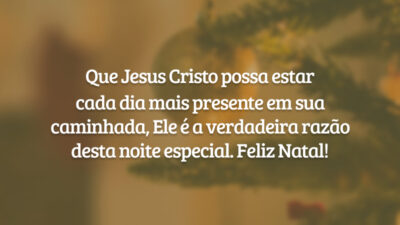 Que Jesus Cristo possa estar cada dia mais presente em sua caminhada, Ele é a verdadeira razão desta noite especial. Feliz Natal!