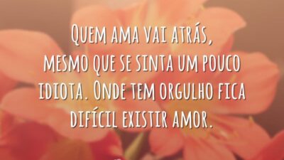 Quem ama vai atrás, mesmo que se sinta um pouco idiota. Onde tem orgulho fica difícil existir amor.
