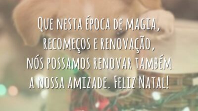 Que nesta época de magia, recomeços e renovação, nós possamos renovar também a nossa amizade. Feliz Natal!