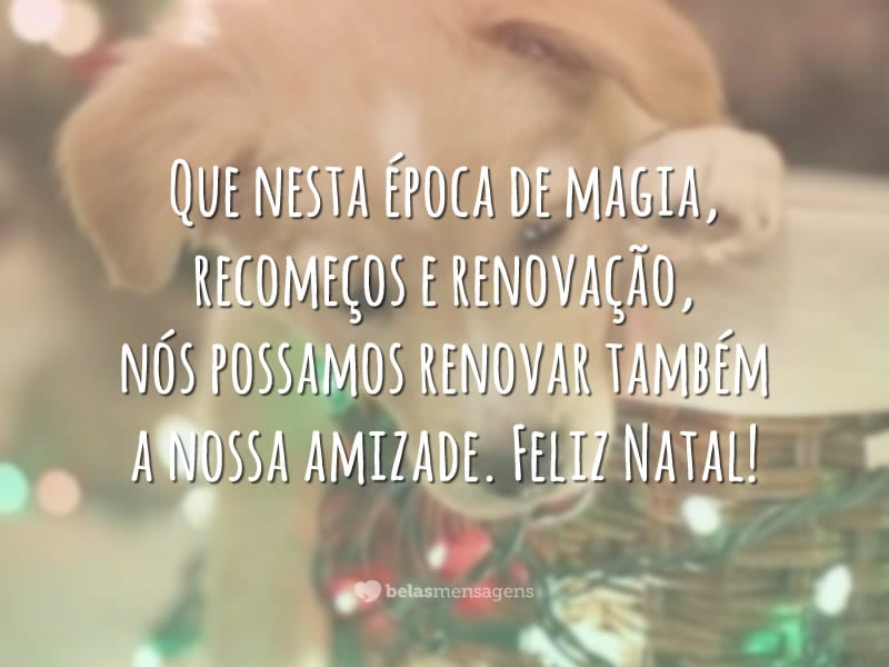 Que nesta época de magia, recomeços e renovação, nós possamos renovar também a nossa amizade. Feliz Natal!