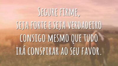 Segure firme, seja forte e seja verdadeiro consigo mesmo que tudo irá conspirar ao seu favor.
