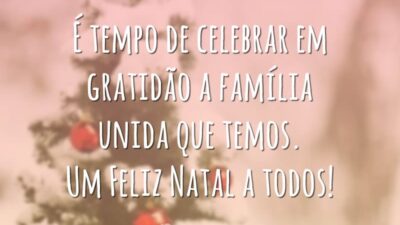 É tempo de celebrar em gratidão a família unida que temos. Um Feliz Natal a todos!