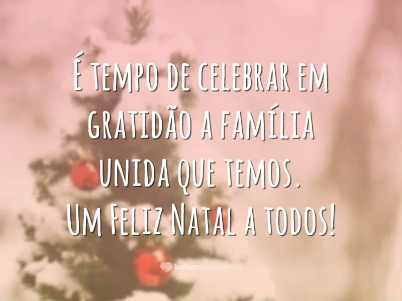 É tempo de celebrar em gratidão a família unida que temos. Um Feliz Natal a todos!