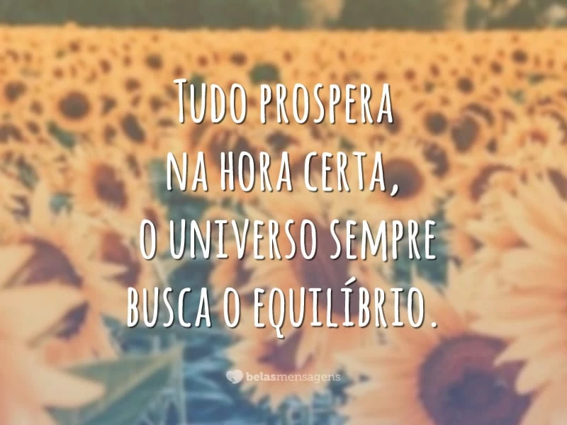 Tudo prospera na hora certa, o universo sempre busca o equilíbrio.