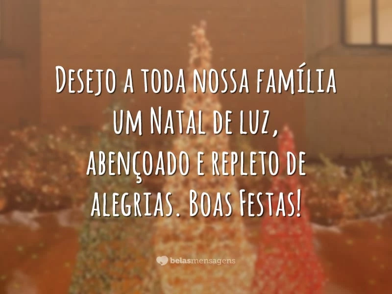 Desejo a toda nossa família um Natal de luz, abençoado e repleto de alegrias. Boas Festas!