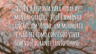 Você é a resposta para todas as minhas orações. Você é a minha canção, um sonho, um murmúrio e não sei como consegui viver sem você durante tanto tempo.