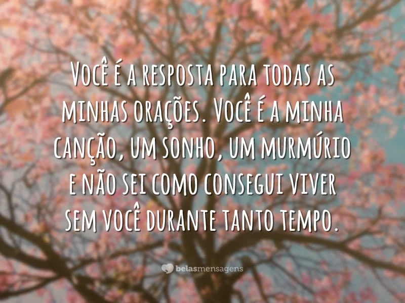 Você é a resposta para todas as minhas orações. Você é a minha canção, um sonho, um murmúrio e não sei como consegui viver sem você durante tanto tempo.