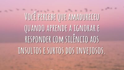 Você percebe que amadureceu quando aprende a ignorar e responder com silêncio aos insultos e surtos dos invejosos.