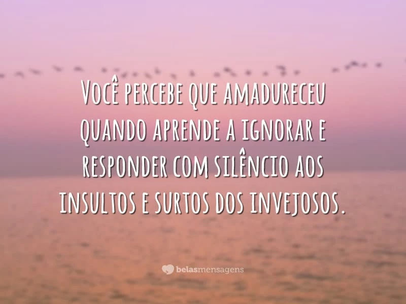 Você percebe que amadureceu quando aprende a ignorar e responder com silêncio aos insultos e surtos dos invejosos.