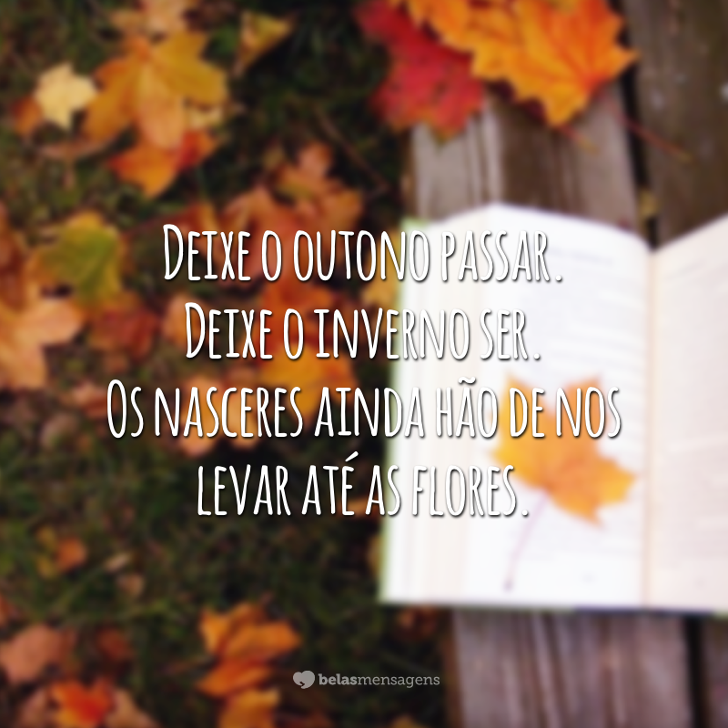 Deixe o outono passar. Deixe o inverno ser. Os nasceres ainda hão de nos levar até as flores.