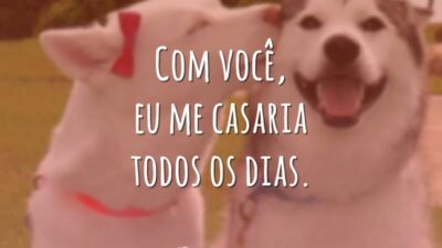 Com você, eu me casaria todos os dias.