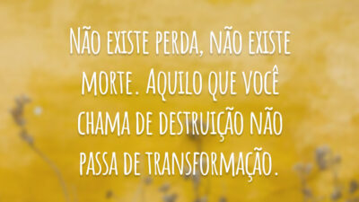 Não existe perda, não existe morte. Aquilo que você chama de destruição não passa de transformação.