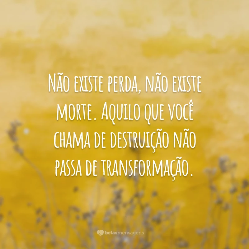 Não existe perda, não existe morte. Aquilo que você chama de destruição não passa de transformação.