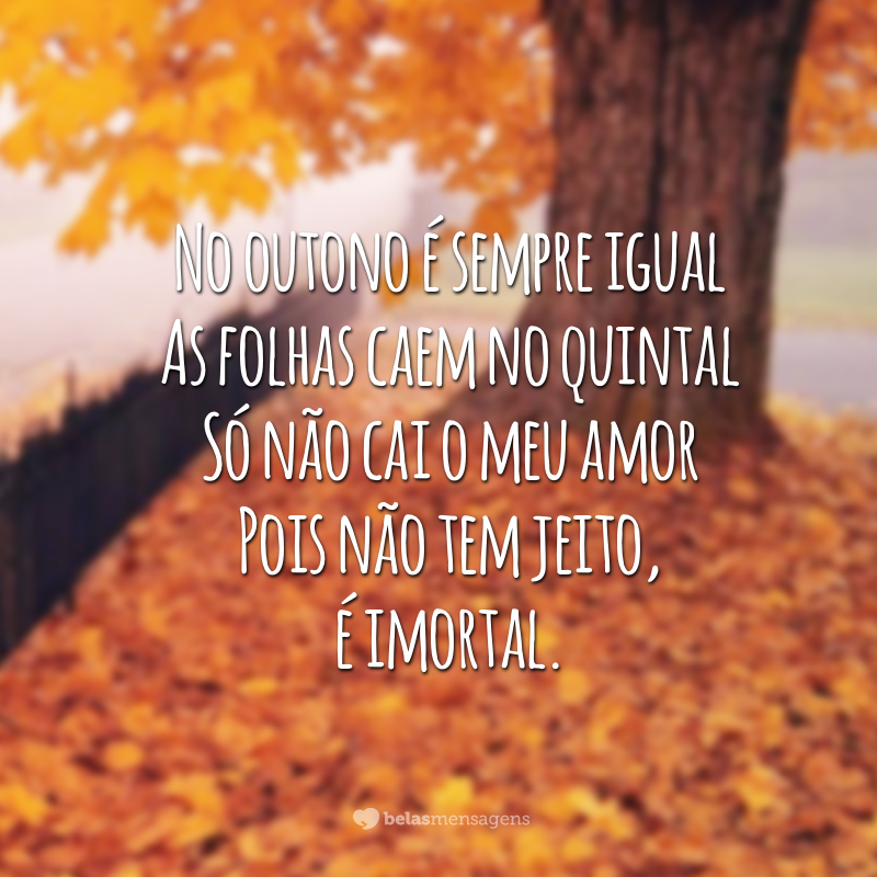 No outono é sempre igual
As folhas caem no quintal
Só não cai o meu amor
Pois não tem jeito, é imortal.