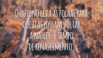 O outono leva as folhas para que elas possam voltar a nascer. É tempo de renascimento.