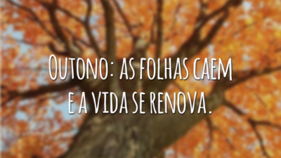 Outono: as folhas caem e a vida se renova.