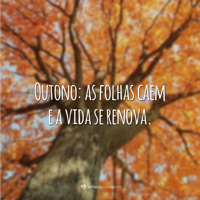 Outono: as folhas caem e a vida se renova.